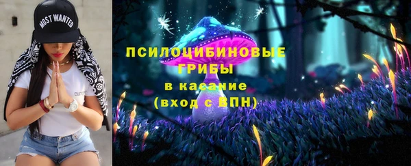 Альфа ПВП Аркадак